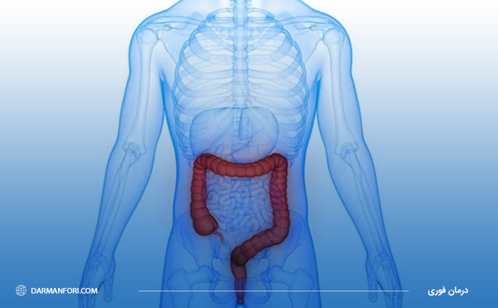 آشنایی با عملکرد روده بزرگ
