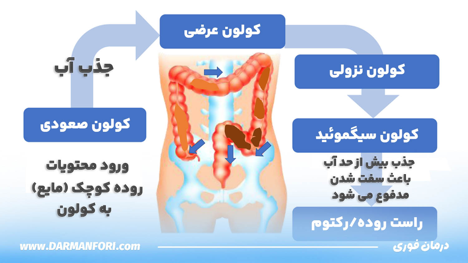نحوه عبور مدفوع از کولون و علت سفت شدن مدفوع و ایجاد سوزش مقعد