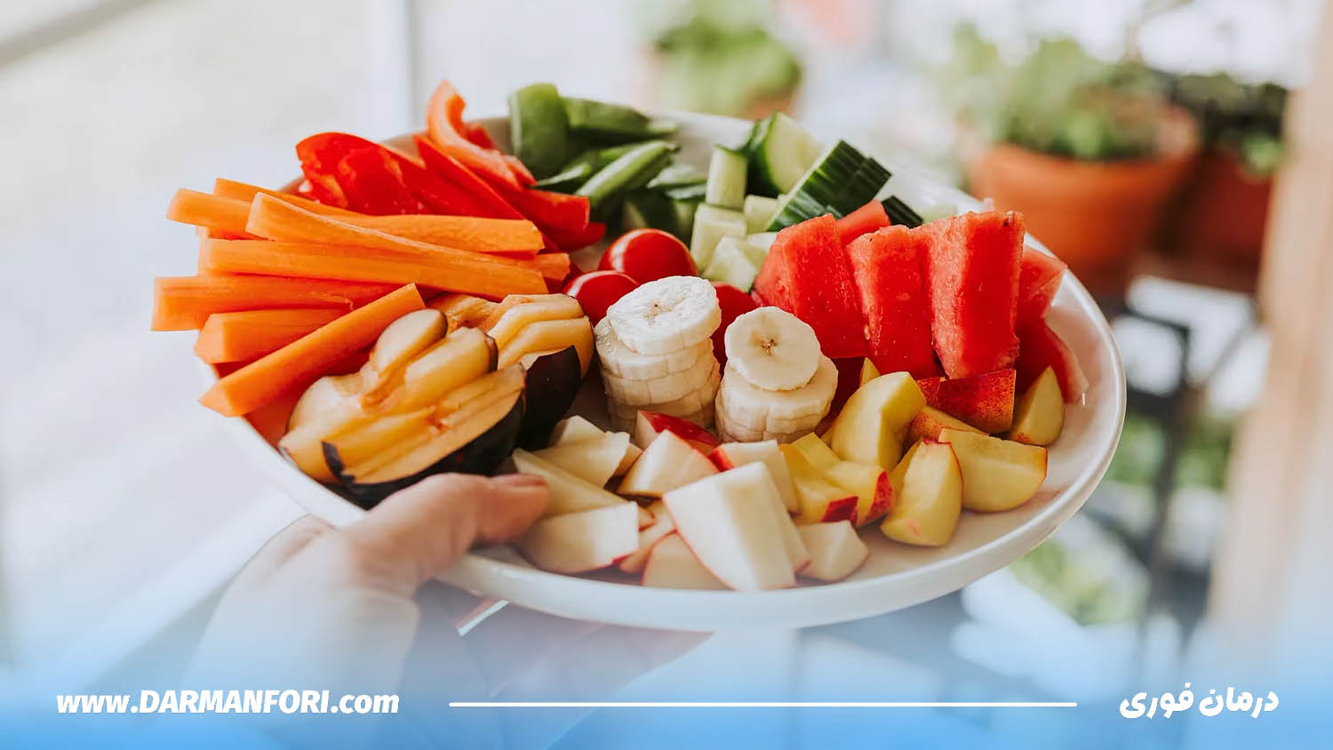 میوهها و سبزیجات پرفیبر برای جلوگیری از یبوست و کاهش سوزش مقعد بعد از دفع