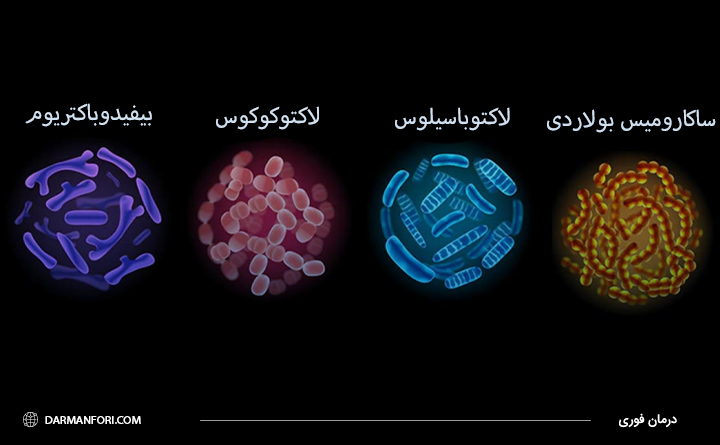 انواع مختلف پروبیوتیک